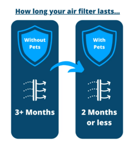 How long a furnace filter lasts with and without pets.